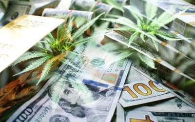 Don’t Let A Lack of Capital Send Your Cannabis Business Up in Smoke