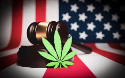 Cannabis Update: When Will it be Legal at the Federal Level?